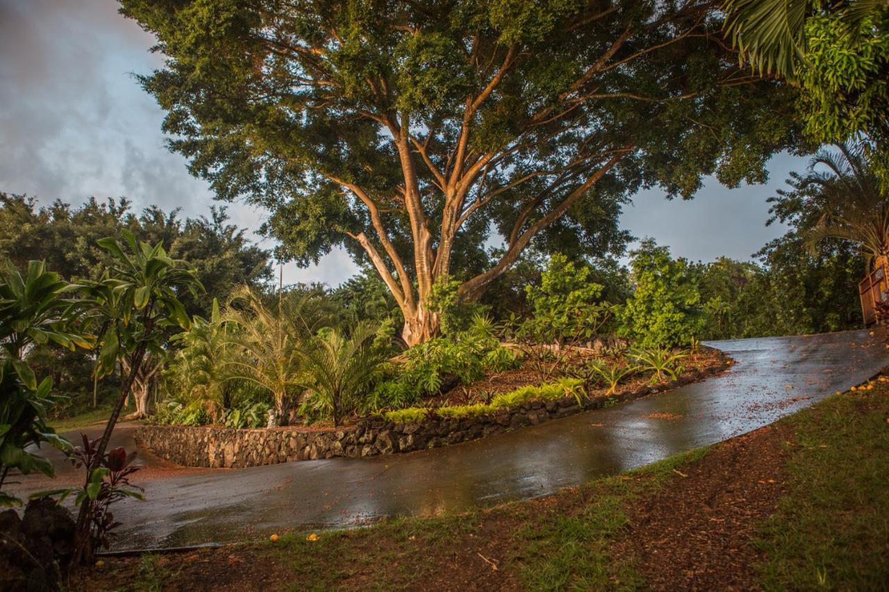 Banyan Tree Sanctuary Guest House Kalaoa Kültér fotó